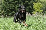 BEAUCERON 069